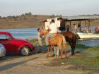 thumbs/041030_Mexico 118.jpg